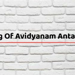 Meaning Of Avidyanam Antas Timira