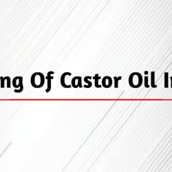 Meaning Of Castor Oil In Odia