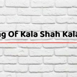 Meaning Of Kala Shah Kala Lyrics