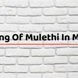 Meaning Of Mulethi In Marathi