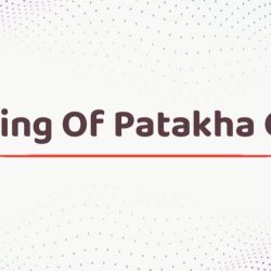 Meaning Of Patakha Guddi