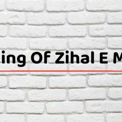 Meaning Of Zihal E Miskin