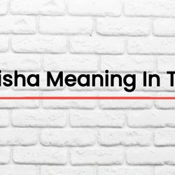 Monisha Meaning In Tamil