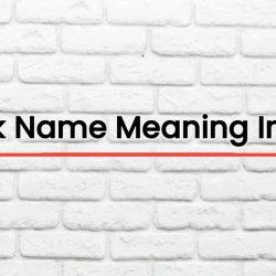 Moshik Name Meaning In Tamil