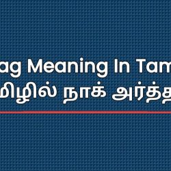 Nag Meaning In Tamil