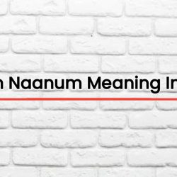 Neeyum Naanum Meaning In English