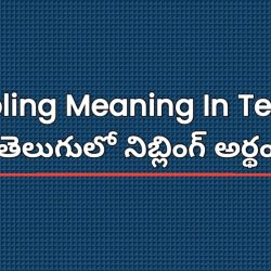 Nibbling Meaning In Telugu | తెలుగులో నిబ్లింగ్ అర్థం