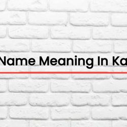 Nithin Name Meaning In Kannada