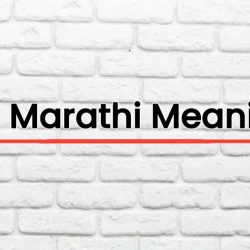 PSI Marathi Meaning