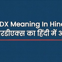 RDX Meaning In Hindi