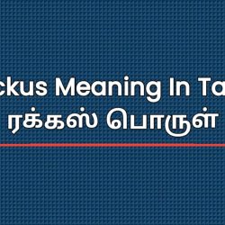 Ruckus Meaning In Tamil