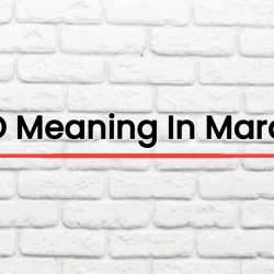 SEO Meaning In Marathi