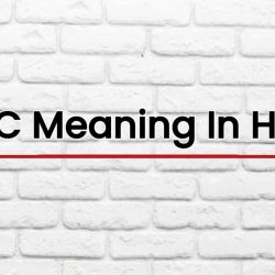 SSLC Meaning In Hindi