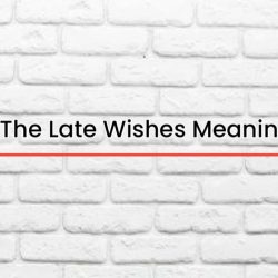 Sorry For The Late Wishes Meaning In Hindi