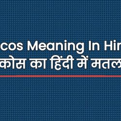 Tacos Meaning In Hindi