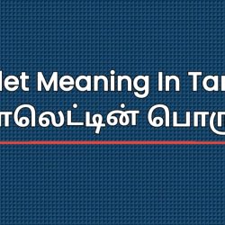 Tolet Meaning In Tamil