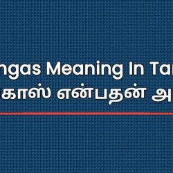 Tongas Meaning In Tamil