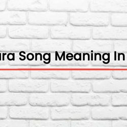 Zara Zara Song Meaning In English