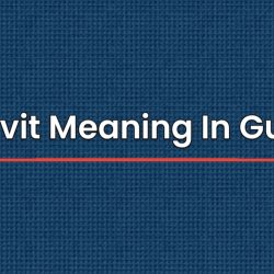 Affidavit Meaning In Gujarati