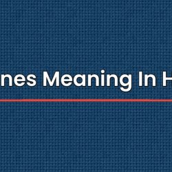 Aggnes Meaning In Hindi