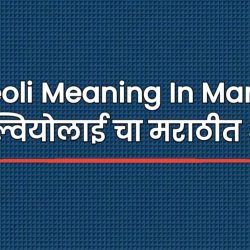 Alveoli Meaning In Marathi