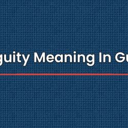 Ambiguity Meaning In Gujarati