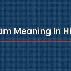 Ayam Meaning In Hindi