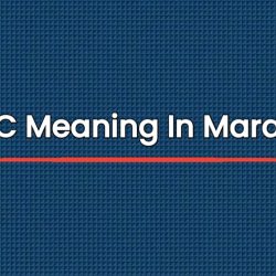 BSC Meaning In Marathi