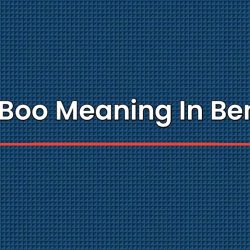 Boo Boo Meaning In Bengali