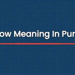 Burrow Meaning In Punjabi