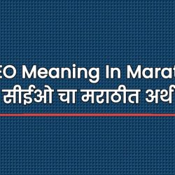 CEO Meaning In Marathi