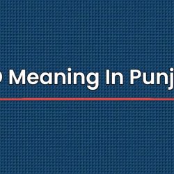 CID Meaning In Punjabi