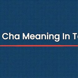 Cha Cha Meaning In Tamil