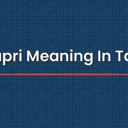 Chapri Meaning In Tamil