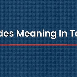 Chides Meaning In Tamil