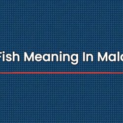 Cobia Fish Meaning In Malayalam