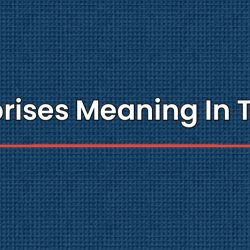 Comprises Meaning In Telugu