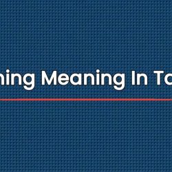 Coning Meaning In Tamil