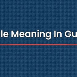 Cuddle Meaning In Gujarati