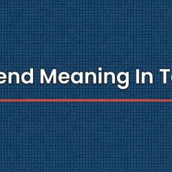 Dividend Meaning In Telugu