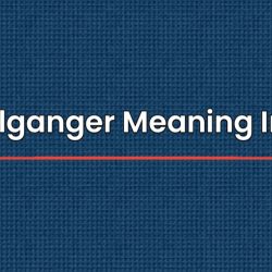 Doppelganger Meaning In Hindi