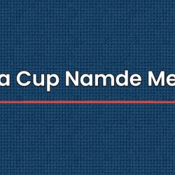 Ee Sala Cup Namde Meaning In Marathi