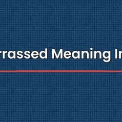 Embarrassed Meaning In Hindi