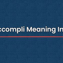 Fait Accompli Meaning In Tamil