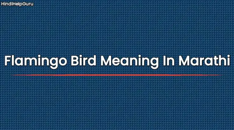 flamingo-bird-meaning-in-marathi