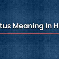 Foetus Meaning In Hindi