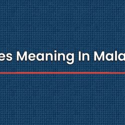 Homilies Meaning In Malayalam