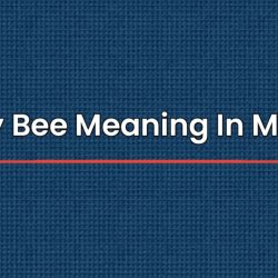 Honey Bee Meaning In Marathi