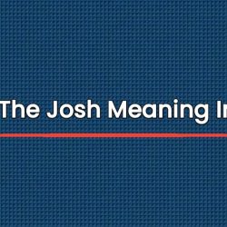 How's The Josh Meaning In Hindi