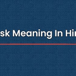 Husk Meaning In Hindi